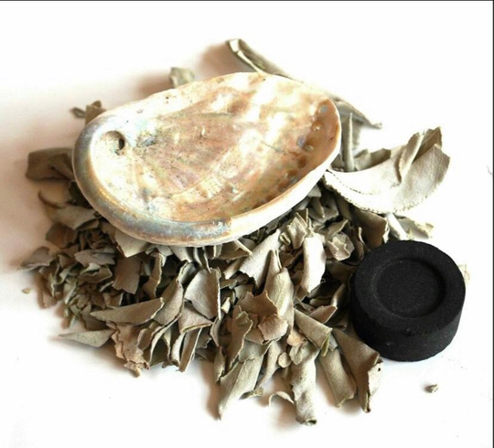 Energy Cleansing Sage Leaf Clusters Charcoal Abalone Set