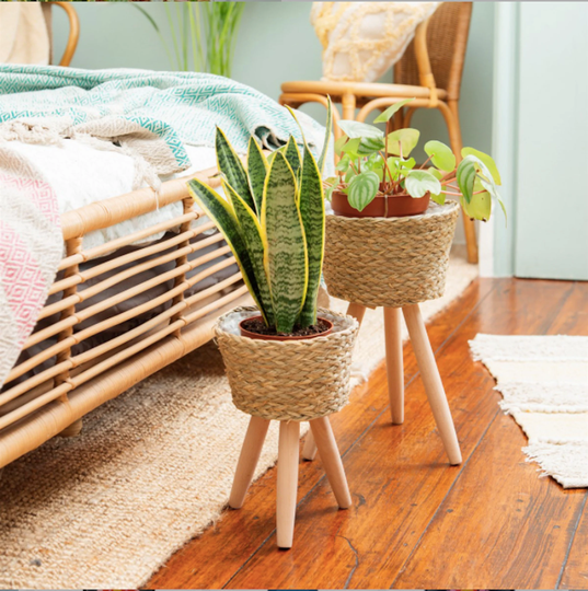 Indoor Planter With Feet, Cute Indoor Plant Pot, Unique Large 2 Different Sizes, May Birthday Gifts For Her Is Just You