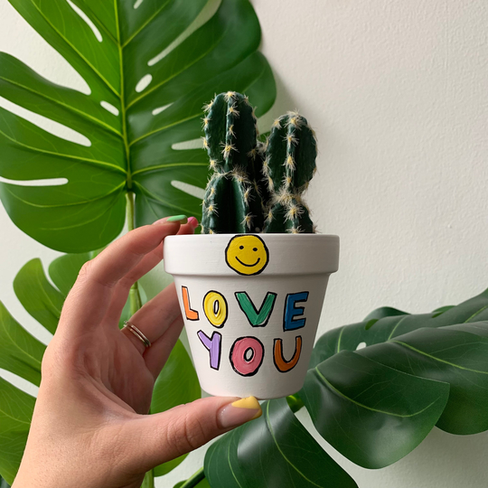 Hand Painted Rainbow Love You Smiley Face Plant Pot