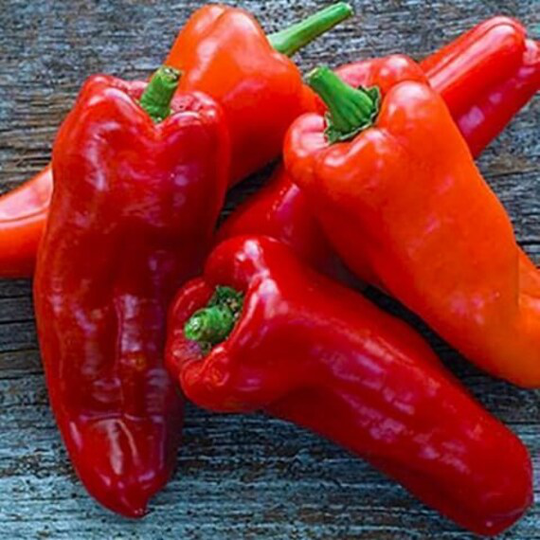 Pepper Seeds Tusk