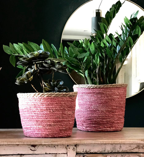 Soft Pink Edged Baskets Or Planters