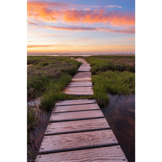 Barnstable Salt Marsh Sunset Print - Fine Art Photo Of A Golden Orange Sunset Over The Dunes Sandy Neck Beach & Harbor