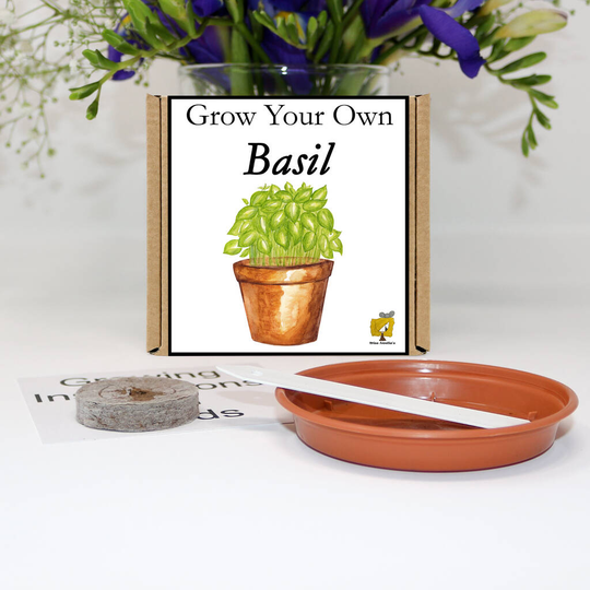 Grow Your Own Basil Gift Set