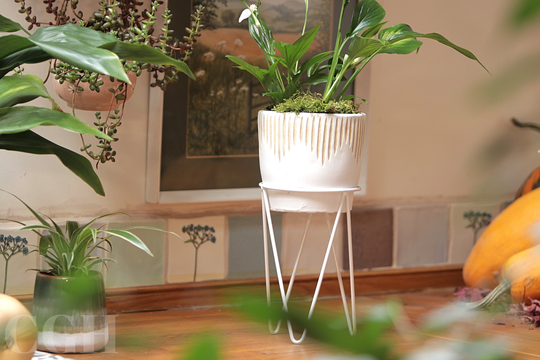 Planter Pot Cement White With Wire Stand Sgraffito - Industrial Indoor Home Decor Sass&belle Succulent Garden Plants