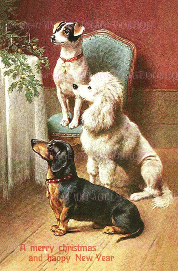 Antique Edwardian Illustration Of A Poodle, Dachshund, & Jack Russell Terrier Christmas Season Winter Solstice Holiday 5x7 Greeting Card