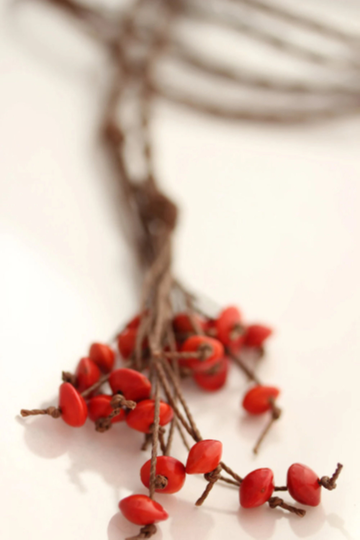 Red Seed Lariat