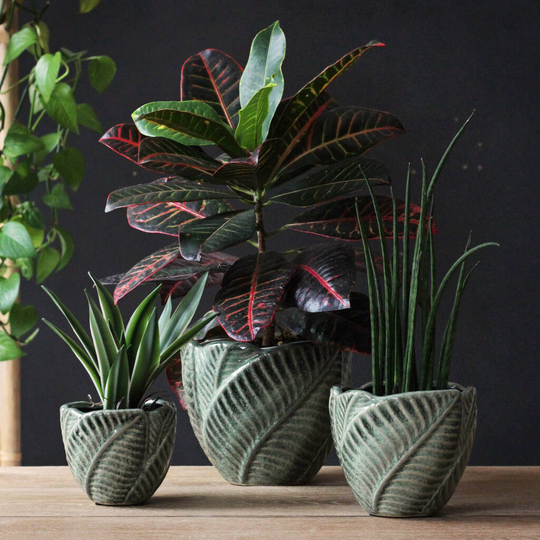 Leaf Plant Pot
