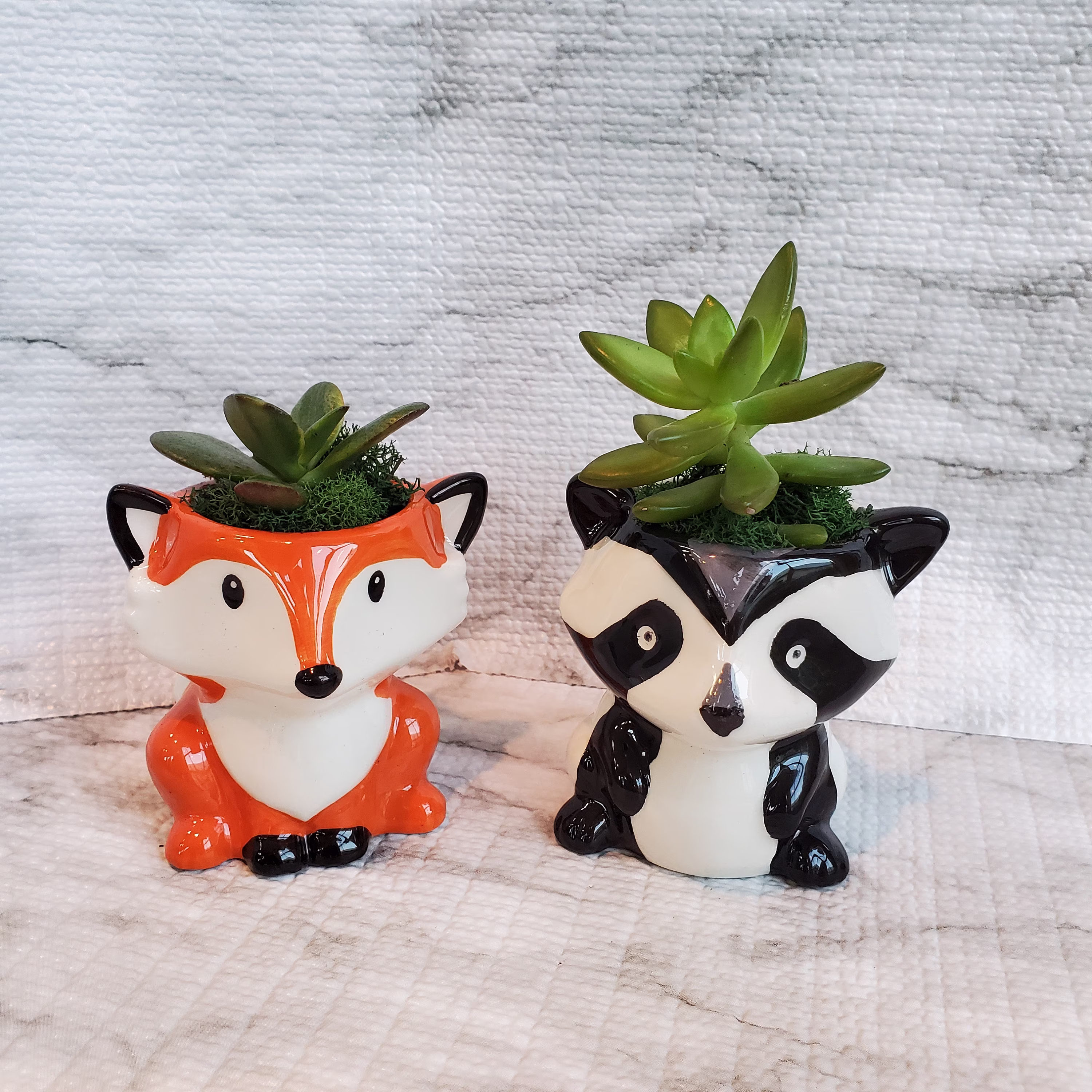 Animal Planters With Succulents, Fox & Raccoon, Live Succulent, Succulent Gift, Pot, Raccoon Planter, Pot