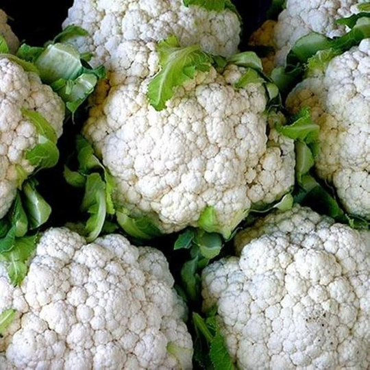 Cauliflower Snowy Crown Seeds Heirloom Non Gmo For Planting | 203333