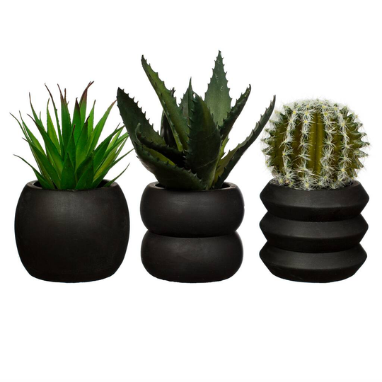 Totem Black Cement Planter With A Succulent Or Cactus