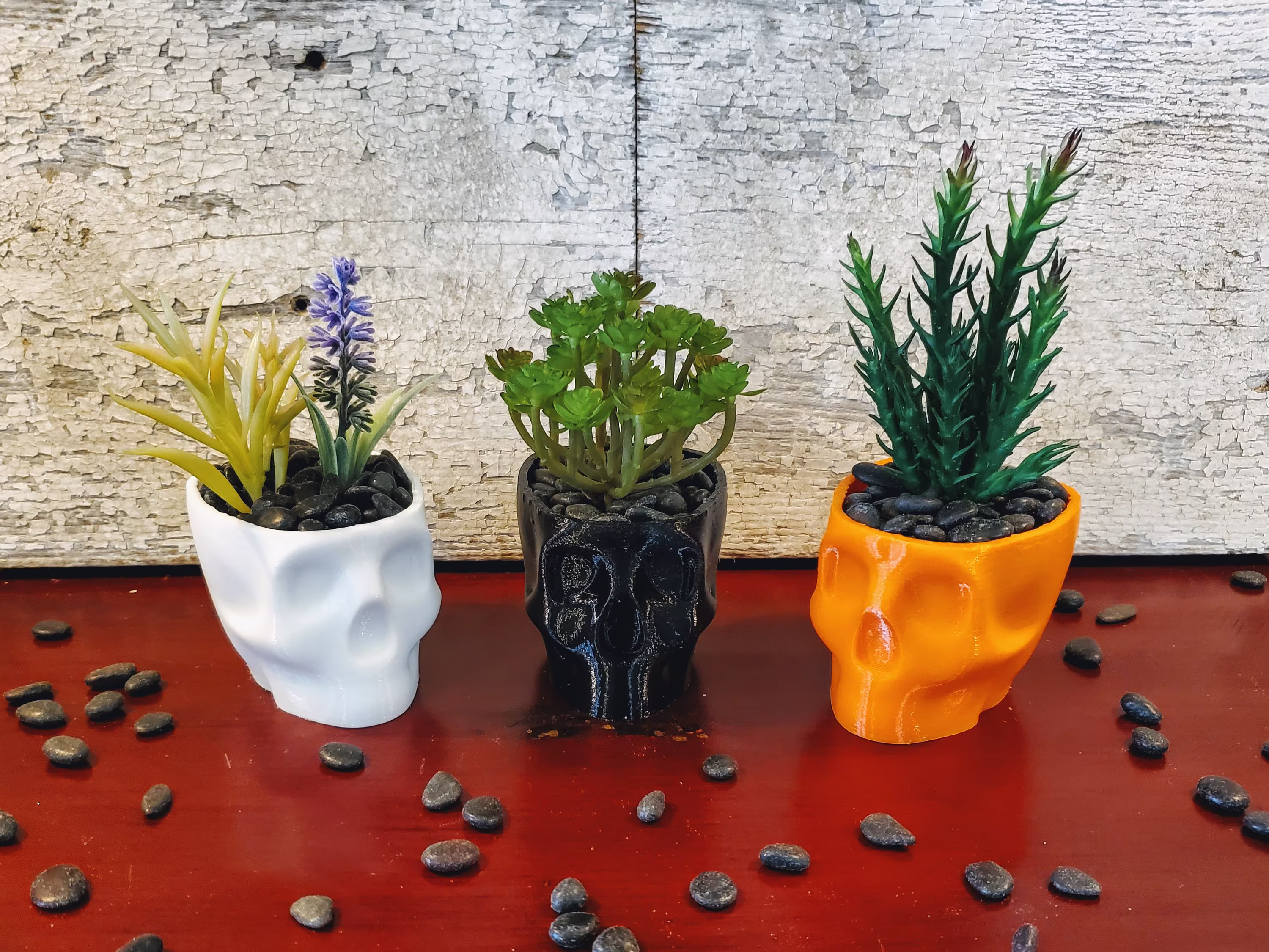 Creepy Spooky Skull Succulent Planter, Halloween Decorations