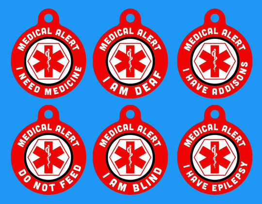Custom Medical Medicine Alert Pet Tags Dog Puppy Cat Kitten Collar Lead Leash ID Medal Licence Small Medium Large Xl Keyring