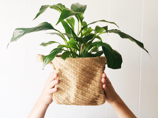 Medium Woven Jute Basket | Rope Storage Eco Bag Flower Pot Cover Plant Recyclable Environment Friendly Product
