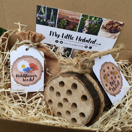 Bee & Gift Set | Wildflower Seeds Bee Hotel Pollinators Eco Friendly Garden Bug House Gardener Wildlife Garden