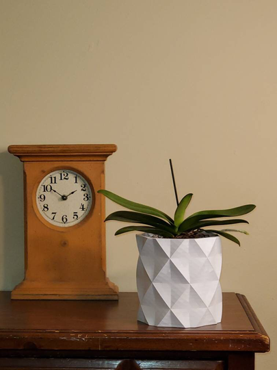 3D Printed | Small Geometric Flower Pot With Drainage