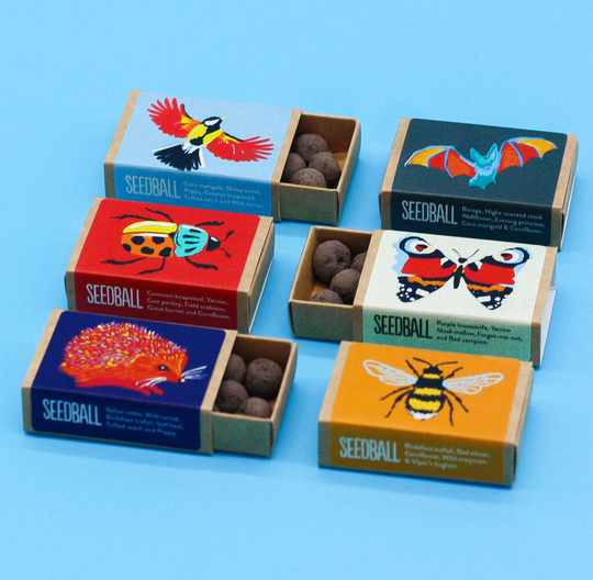 Garden Wildlife Wildflower Seed Box Gift Collection