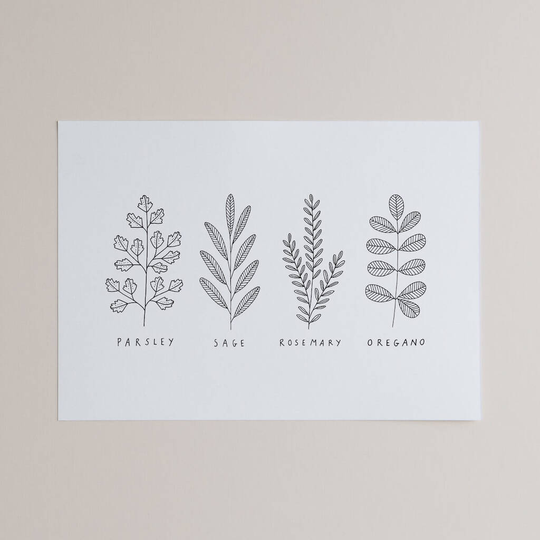 Hand Drawn Garden Herbs Print