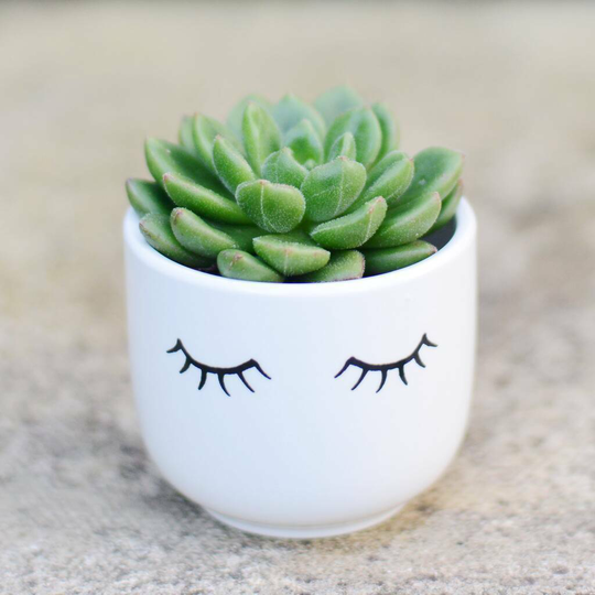 Smiley Face Planter With A Plant