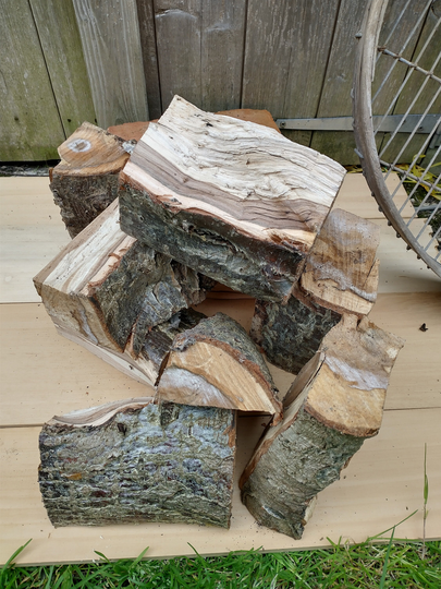 A Wonderful Piece Of Seasoned Rowan Wood Mountain Ash - Beautifully Natural Random Piece