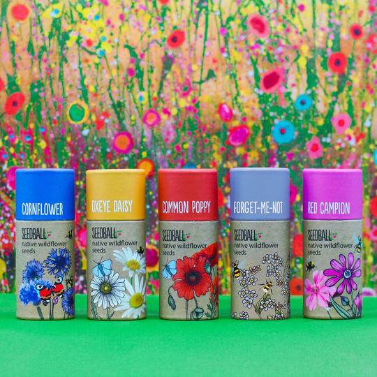 Wildflower Seed Ball Tubes Set Of Five