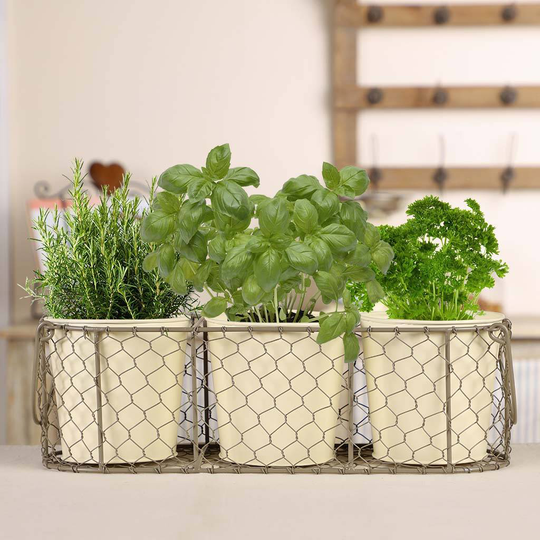 Grey And Cream Three Plant Pots In Basket