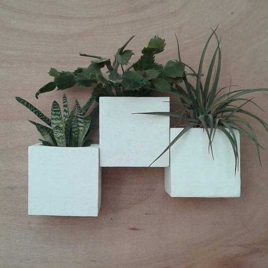 Wall Planter Composition, Made To Create Your Perfect Vertical Garden, Home Decor, Great Celebration Gift