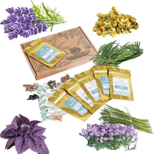 Grow Your Own Herb Garden Gift Set