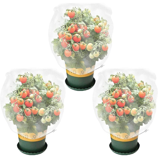 Set of 3 protective fillets for plants with tightening cord, protective bag for garden plants (3.5 x 2.3 feet)