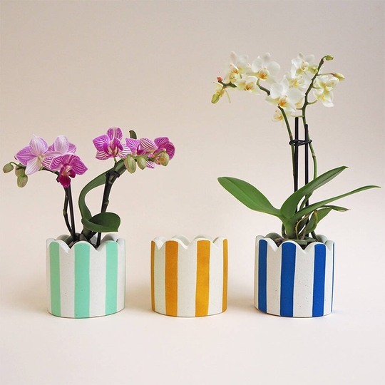 Small Stripy Scalloped Pot Choose Your Colours