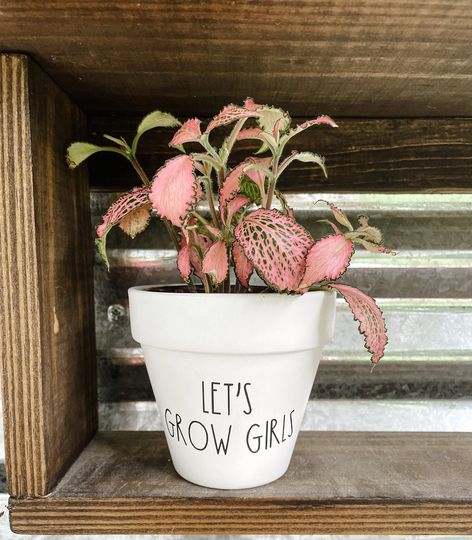 Let's Grow Girls Planter, Plant Pot, Funny Punny Cute Gift Idea, Garden, Pot
