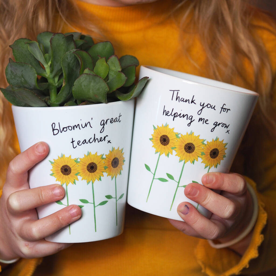 Sunflowers Plant Pot With Seeds For Teacher