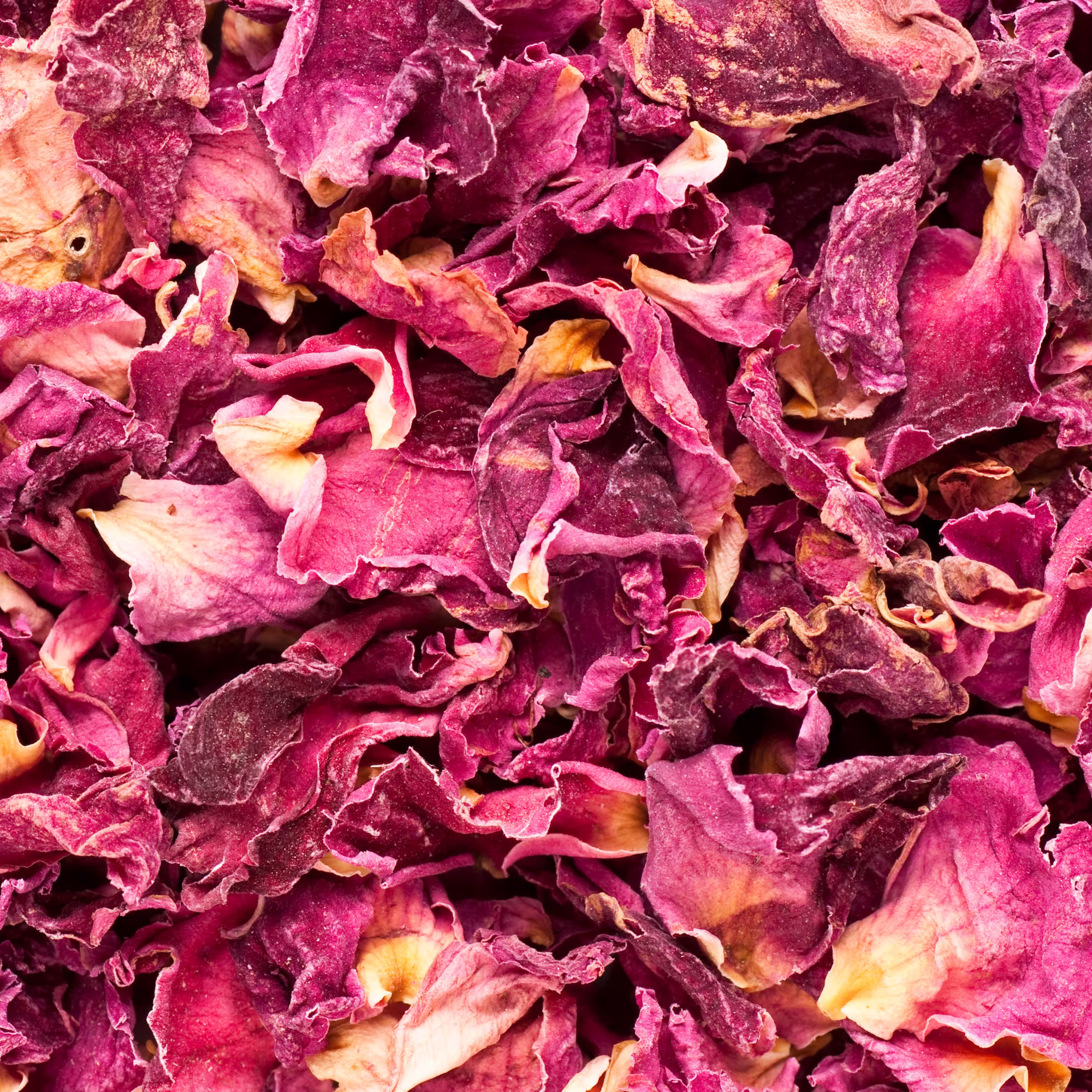Red Rose Petals & Buds Bulk, Wedding Toss Biodegradable Flower Confetti