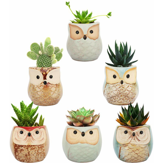 Succulent Plant Flower Pots, [6 Pieces] 2.5 Inch Owl Flower Pot, Ceramic Bonsai, Potted Plant