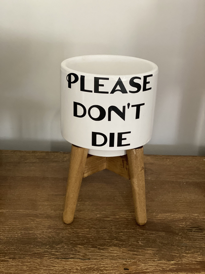 Mini Personalised Pot Plant With Stands