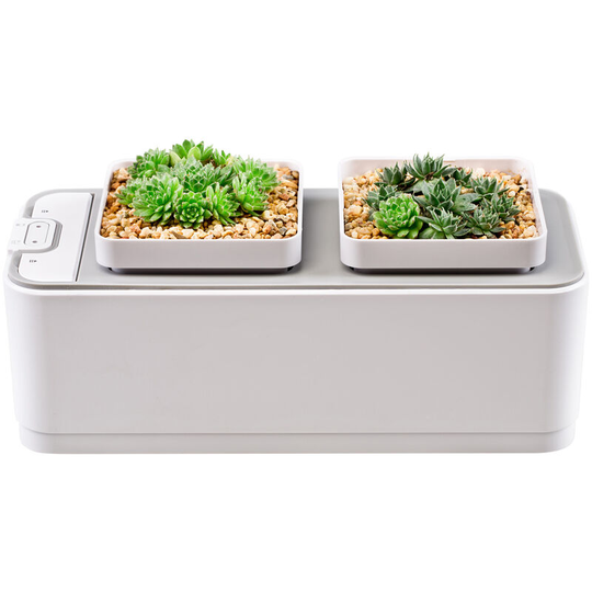 Hydroponics Growing System Indoor Desk Planter Water Shortage Reminder Soil-free 2 Plant Pots for Home Office Vegetable Flower Herbs Gardening White