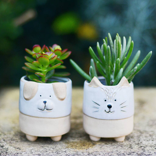 Dog And Cat Animal Planters With Choice Of Plants