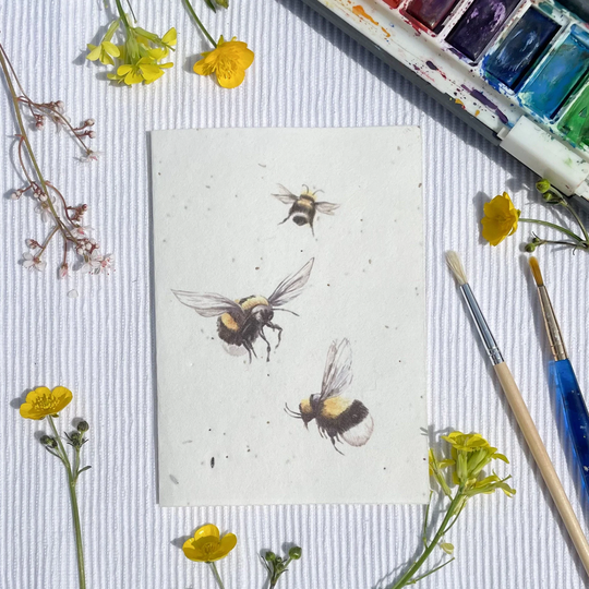 Seed Greetings Card | Gardening Plantable For Gardener Housewarming Bee With Wildflower Seeds