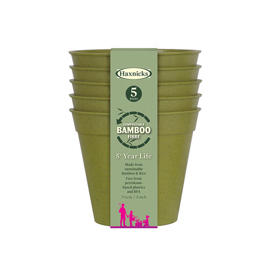 Haxnicks - Bamboo Pot 3in Sage Green x 5 POT160101