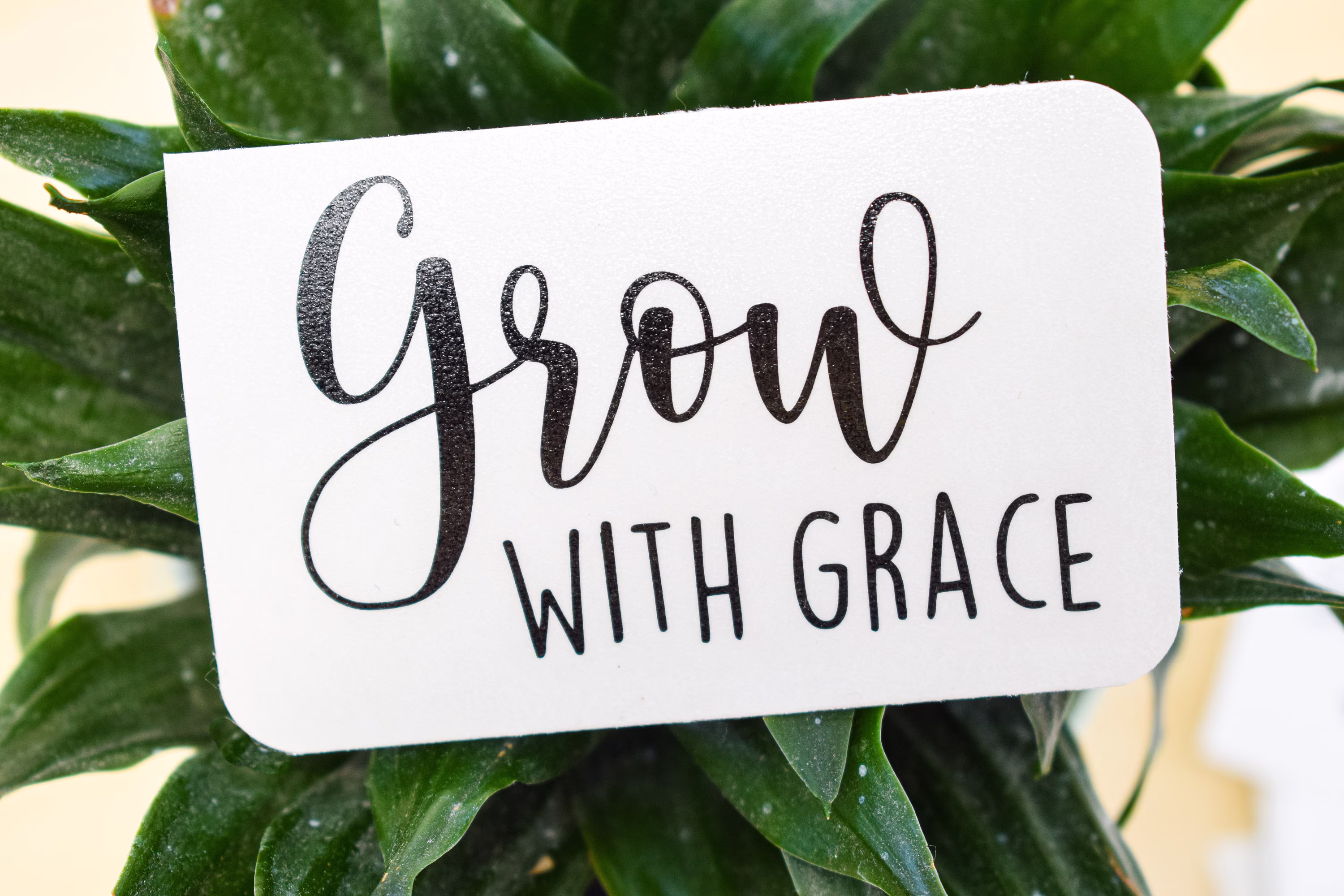 Grow With Grace | Planter Decal Only Inspirational Quote Great To Customize Your Own Planter Gift For Plant Lovers