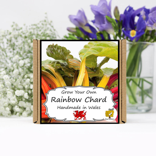 Grow Your Own Vegetables Kit / Rainbow Chard