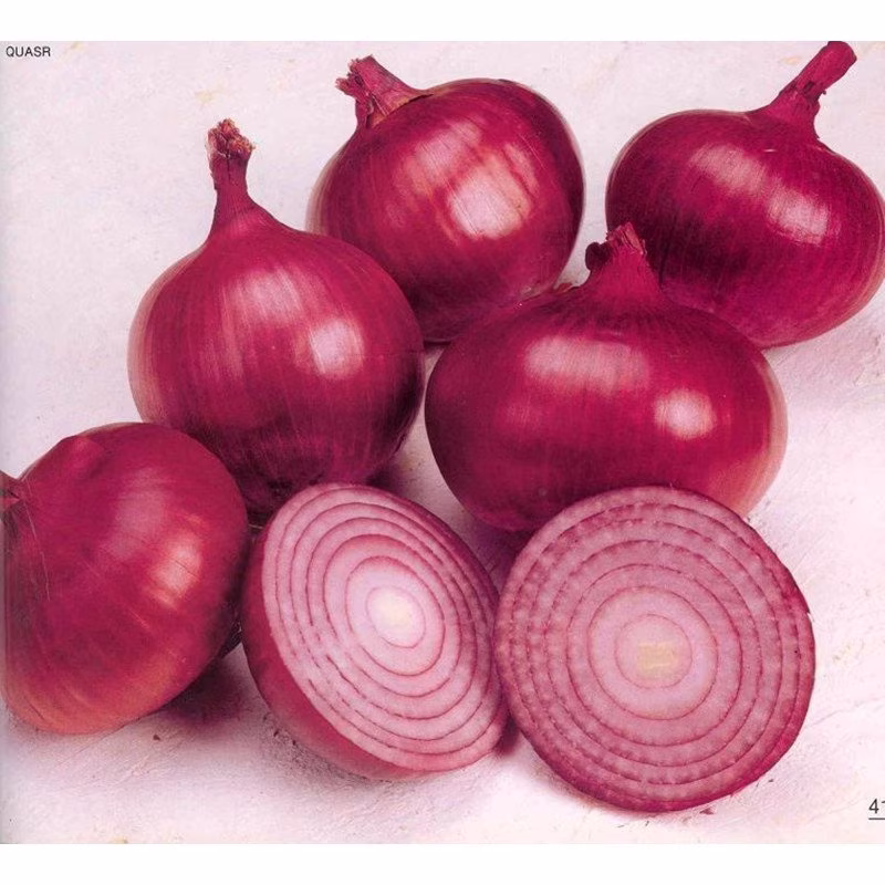 Onions Veselka Seeds Heirloom Non Gmo For Planting | 201121