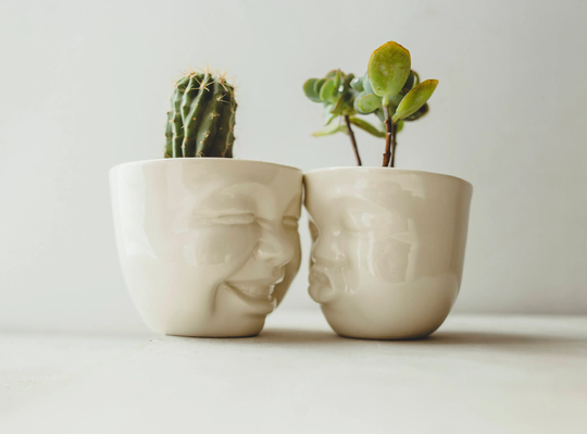 Succulent Pots Set Ceramic Planter Face Housewarming Gift For Best Friend Birthday Plant Pot Cute Desk Accessories New Job