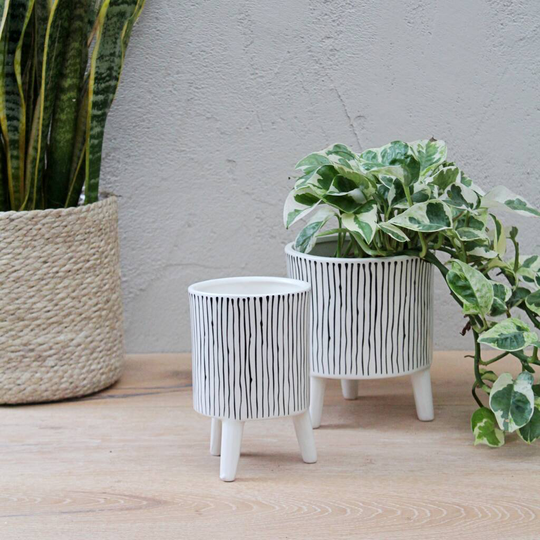 Stripey Planters