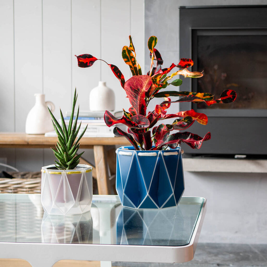 Two Origami Self Watering Eco Plant Pots
