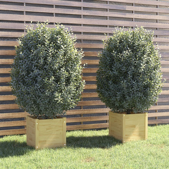 Asupermall - Garden Planters 2 pcs 40x40x40 cm Solid Pinewood