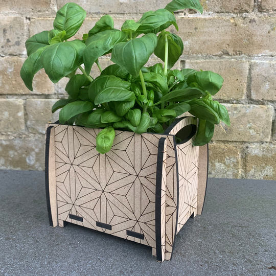 Individual Planter