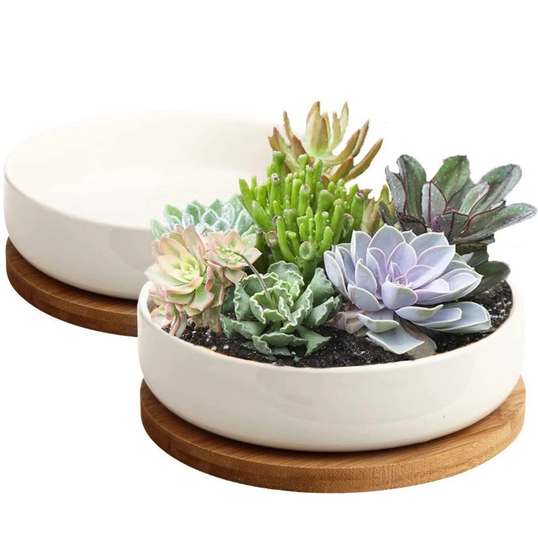 Pack Of 2 - 6 Inch White Ceramic Flower Planter With Bamboo Tray