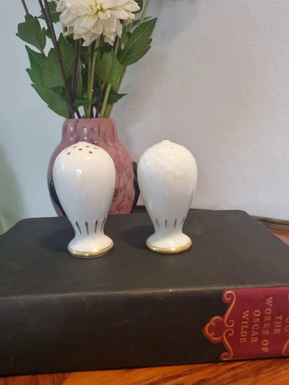 Beautiful Bing & Grøndahl Vintage Salt Pepper Shakers
