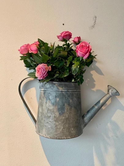 Watering Can Wall Planter, Garden Planters, Accessories, Decoration, Gift