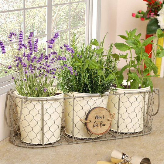 Personalised Grow Your Own Cocktail Garden Planters